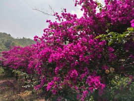 桂林旅游阿牛哥主播照片