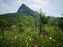 桂林旅游阿牛哥主播照片