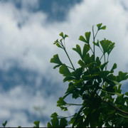 豆豆正能量