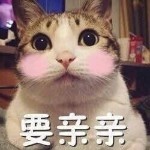 可乐换房间了