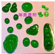 人间某处主播照片