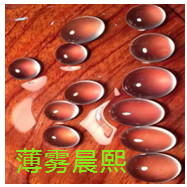 人间某处主播照片