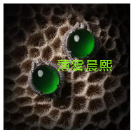 人间某处主播照片