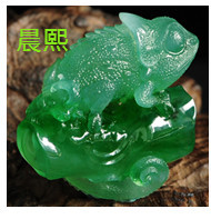 人间某处主播照片