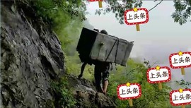 大自然一一一主播照片