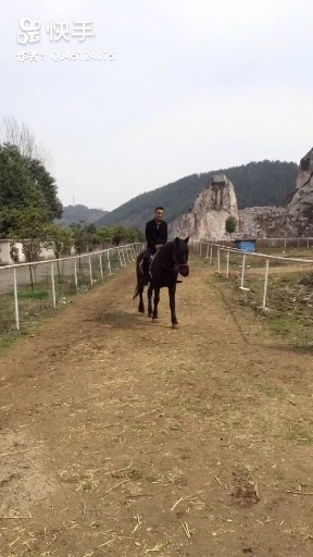 无限抖腿欢快摇