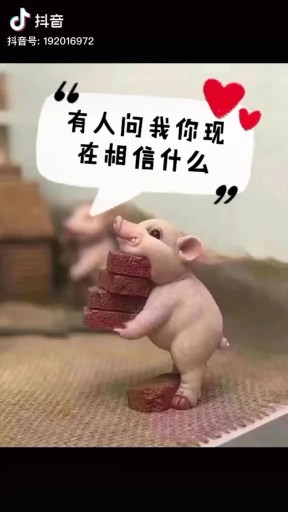 我选择相信你.相信时间。你呢？