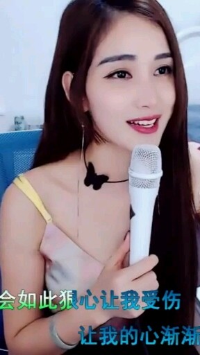 8068