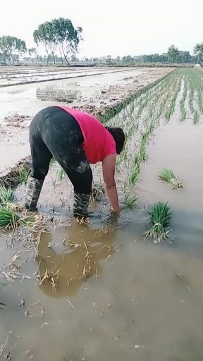 我是农民工