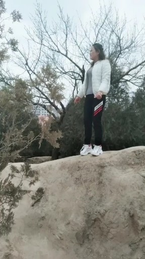 潇洒去远方