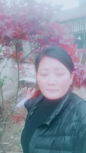 等你等了那么久