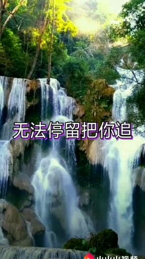 风雨中的情