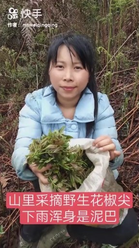 虫儿飞