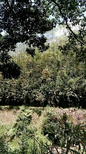 我的乡下就是这么多山