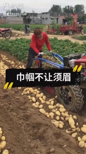挖土豆