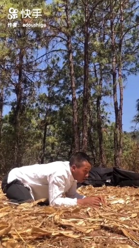 功夫