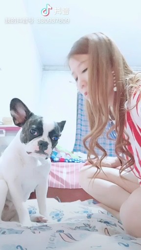 犯错了