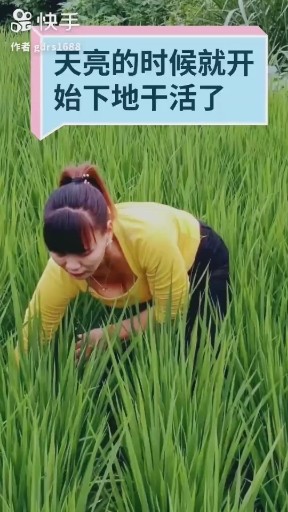天亮的时候就开始下地干活了