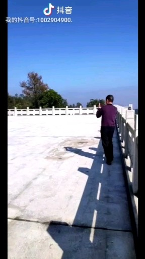 朕的江山
