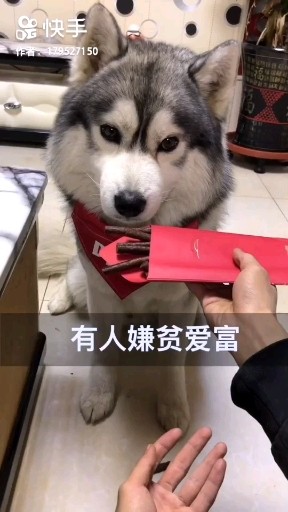 生活如此美好