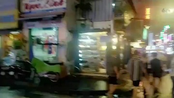 越南南11
