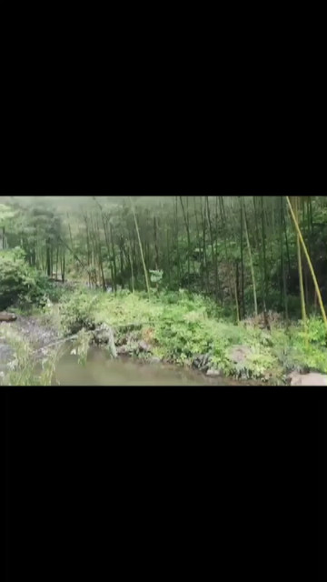 浙江黄岩