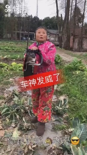 车神发威了