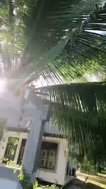 看看