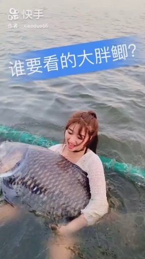 大胖鲫