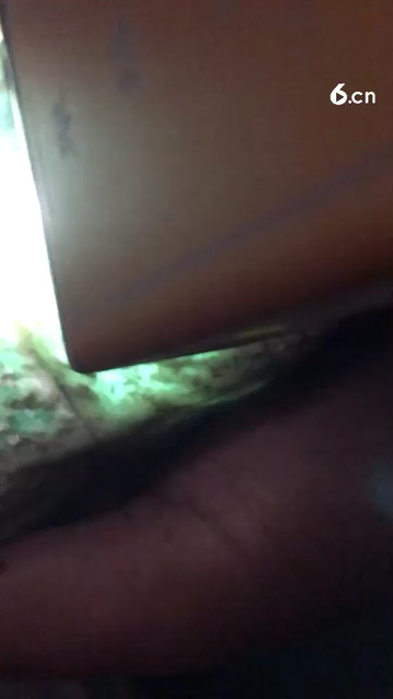 木那晴底雪花棉