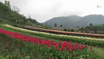 给力