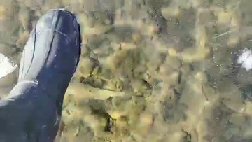 冰上走走