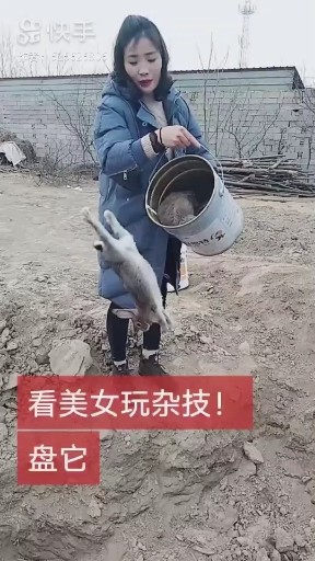 万物皆可盘他
