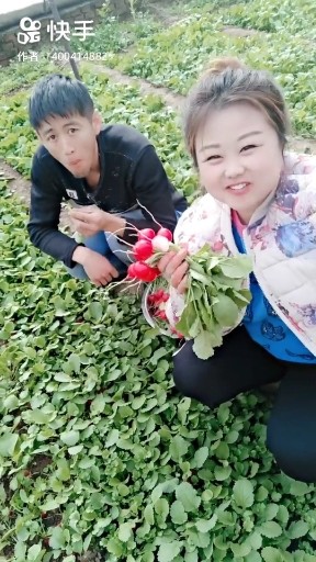 喂老公吃萝卜头