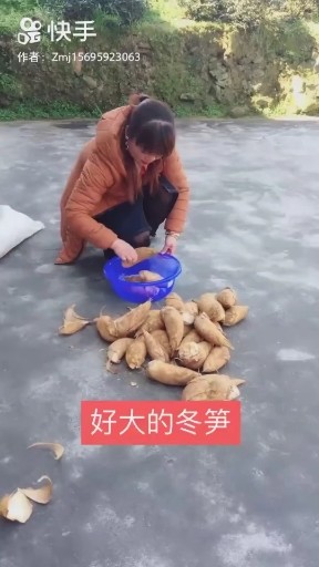 夜之光
