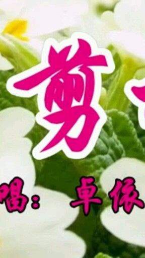 卓依婷剪干活穿的