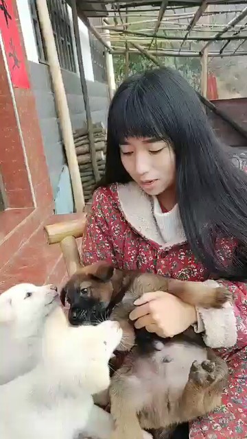 😂🐶