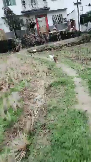 😃