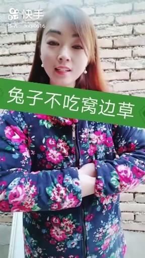 兔子不吃窝边草