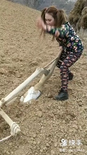 犁田