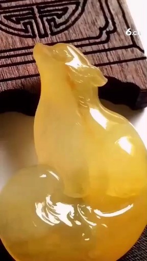 黄翡金狐