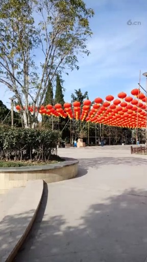 中午好朋友们