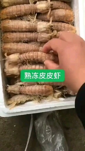 皮皮虾喜欢的加主页V