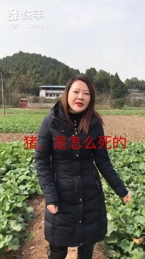 看一次笑一年