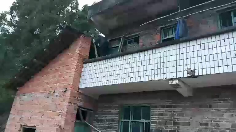 羊刚从梯子下来