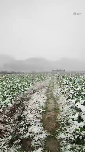 真好看的雪花❄