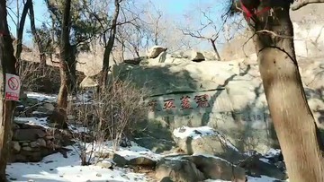 泰山