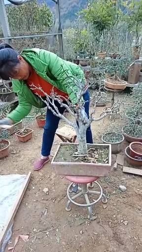 红尘情歌