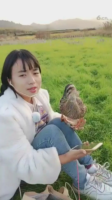 美女和鸭子一起玩