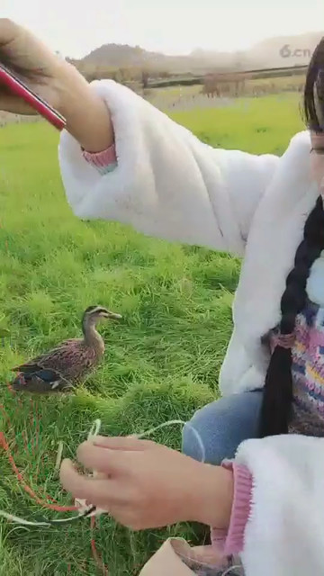 来了